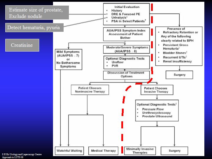 Family Physician approach to Lower Urinary Tract Symptoms